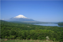 富士山と河口湖